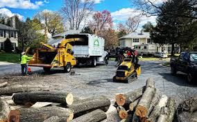 Best Arborist Consultation Services  in Glenarden, MD