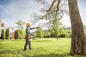 Best Lawn Irrigation Installation and Maintenance  in Glenarden, MD