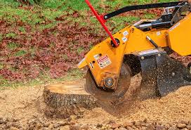 Best Lawn Edging  in Glenarden, MD